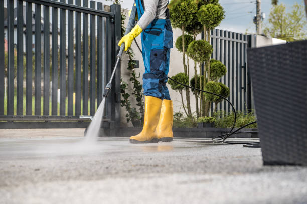 Best Deck Pressure Washing  in Barrington Hls, IL