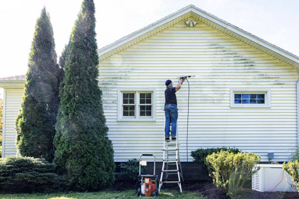 Best Residential Pressure Washing Services  in Barrington Hls, IL