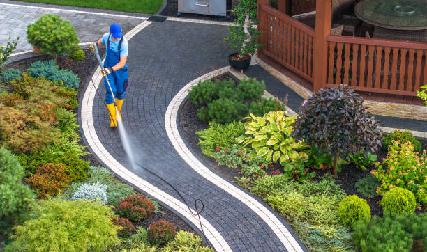 Best Deck Cleaning Services  in Barrington Hls, IL